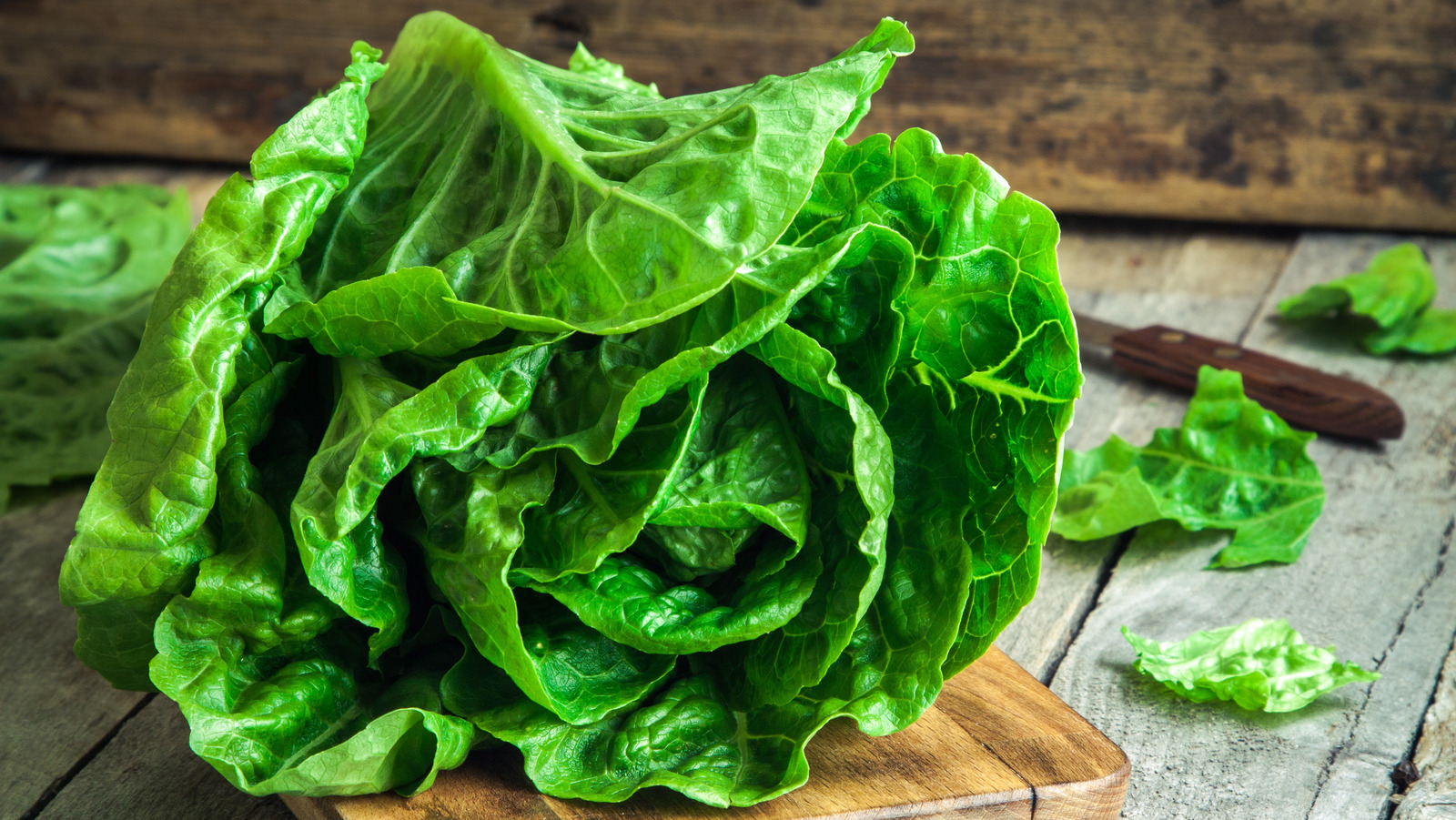 Why You Shouldn't Freeze Lettuce And Cabbage