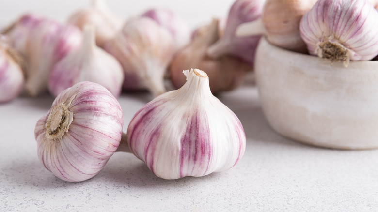 garlic bulbs close-up