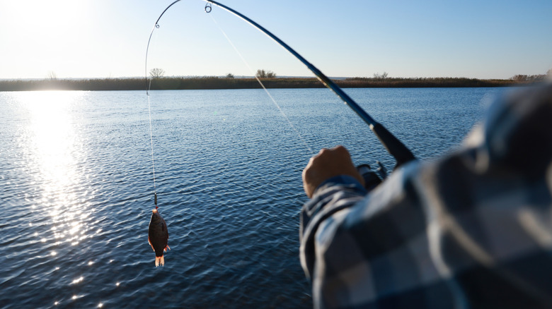A fisherman catching a fish using a rod and reel