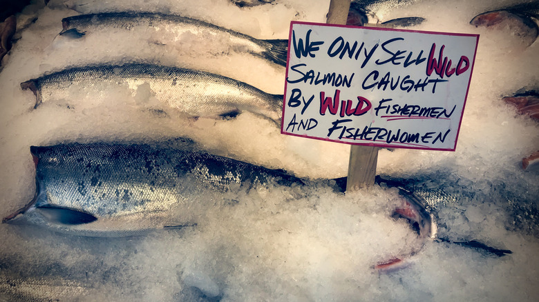 A display of fish on ice with a sign that reads: We only well wild caught salmon caught by wild fishermen and fisherwomen"