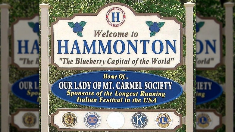 Welcome sign for Hammonton, NJ with blueberries and text reading "The Blueberry Capital of the World"