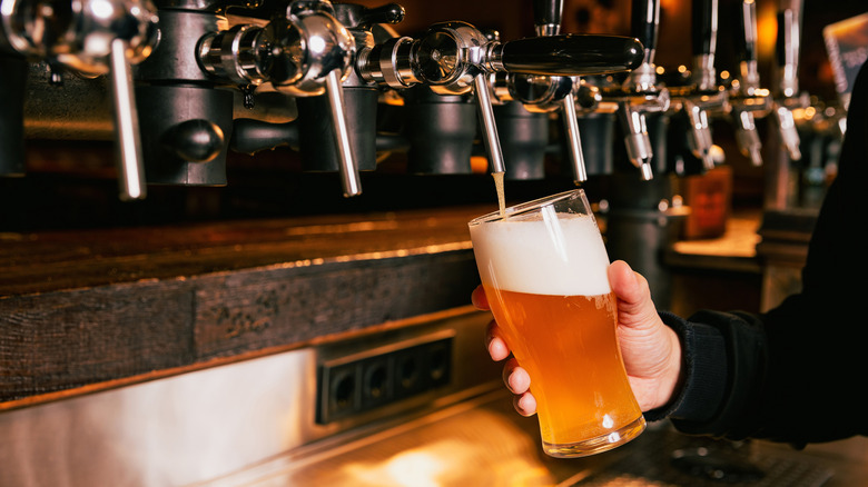 Draft beer being poured into a pint
