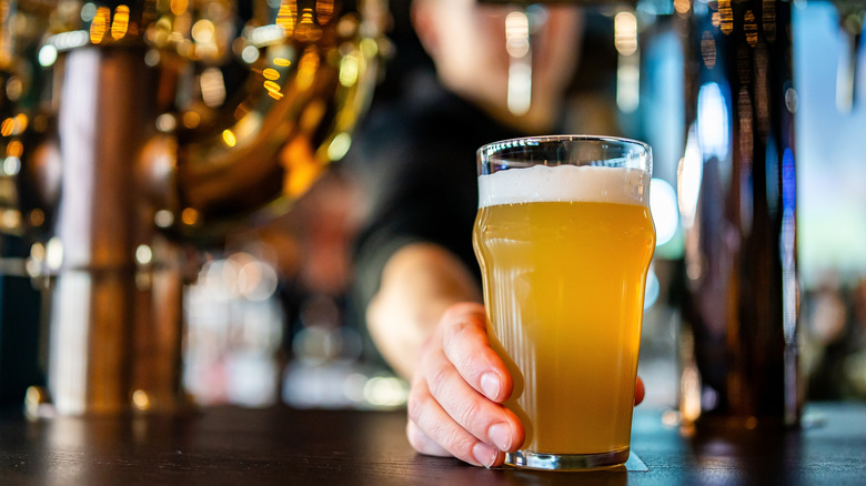 pint glass filled with tap beer