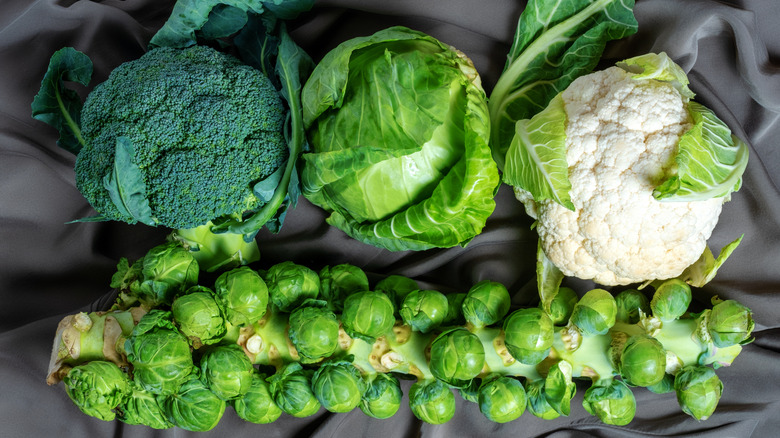 Cruciferous vegetables on a table
