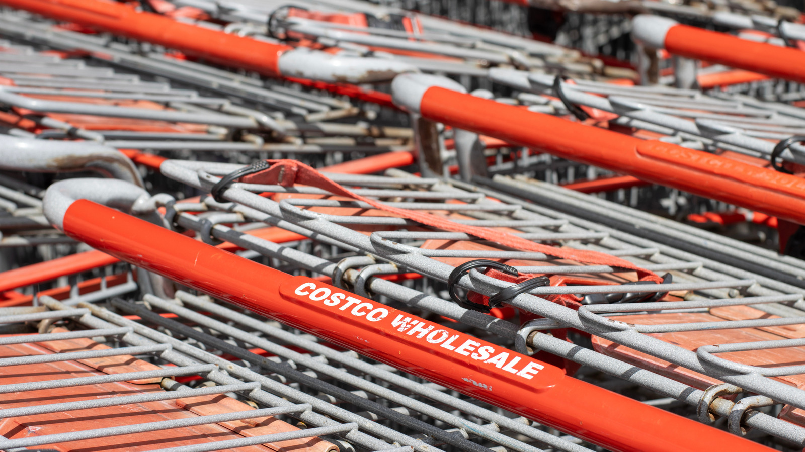 Sie dürfen Ihre eigenen Einkaufstaschen zu Costco mitbringen – aber unter ...
