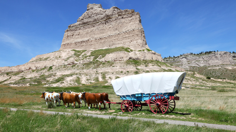 A covered wagon being pulled along a trail