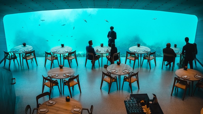 diners watch fish swim by through a window submerged in the ocean while eating at Under in Norway