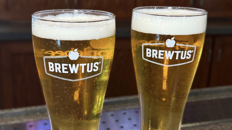 Brewtus glasses with beer