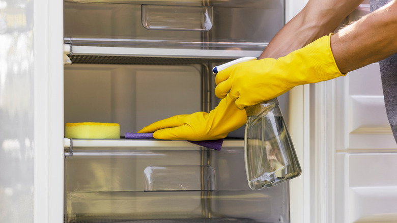 Person wearing rubber gloves cleaning a refrigerator shelf with a cloth and spray bottle.