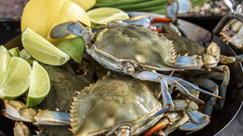 A skillet topped with fresh, uncooked blue crabs, surrounded by lime slices and a sliced lemon