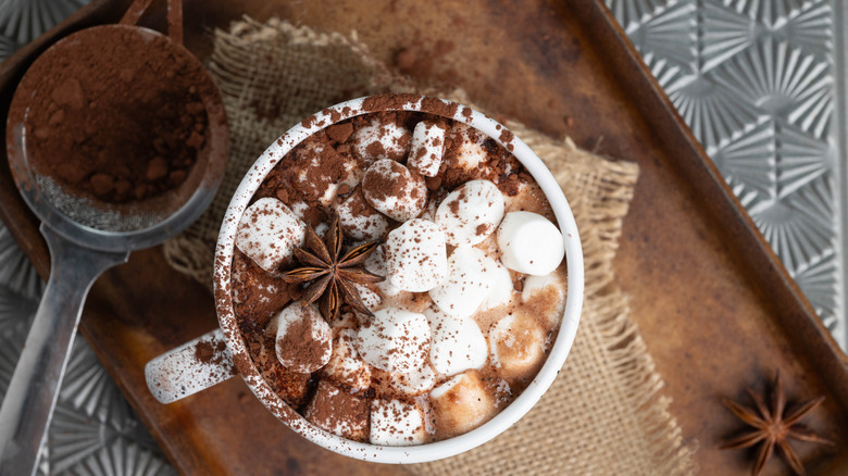 hot cocoa in a mug topped with marshmallows