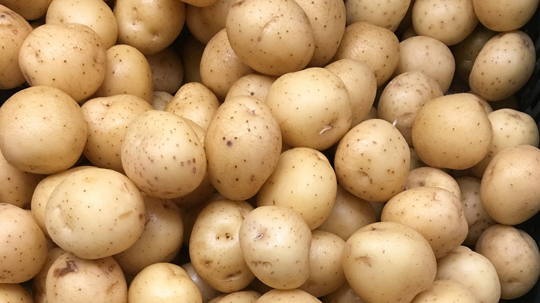 Pile of small yellow potatoes