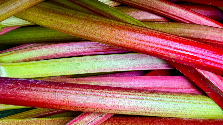 Bright red and green rhubarb