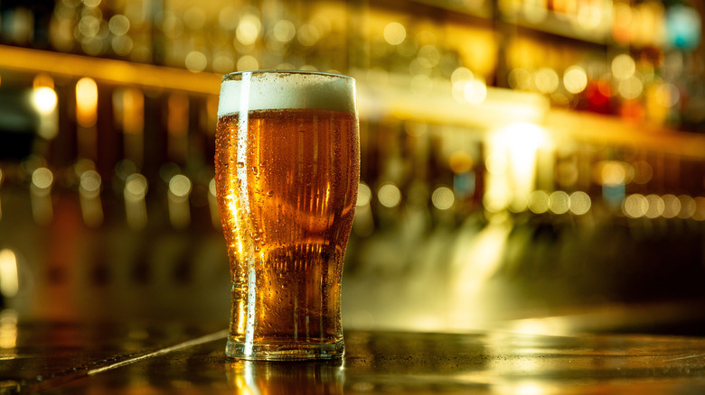 An illustrative image of a refreshing pint of beer.
