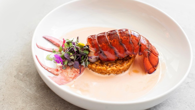 Lobster tail over risotto in a shallow white bowl