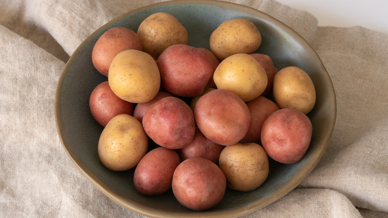 A bowl of yellow and red potatoes.