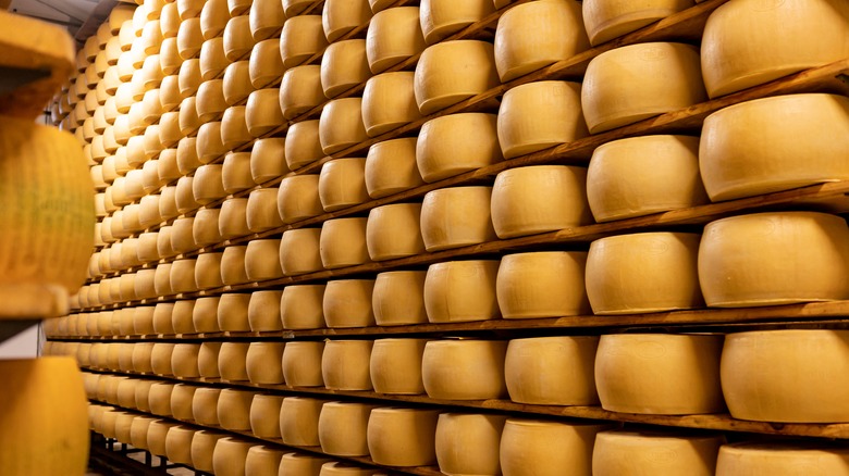 wall of parmigiana reggiano aging