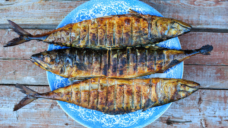 Grilled mackerel in a blue plate atop a rustic wooden table.