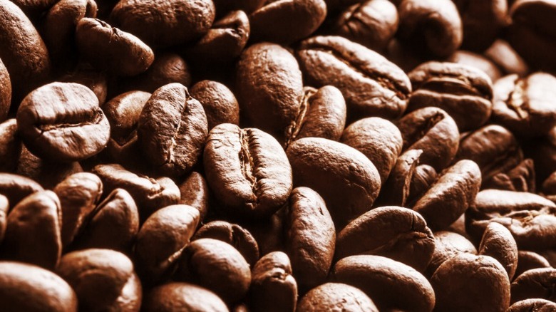 Roasted coffee beans up close.