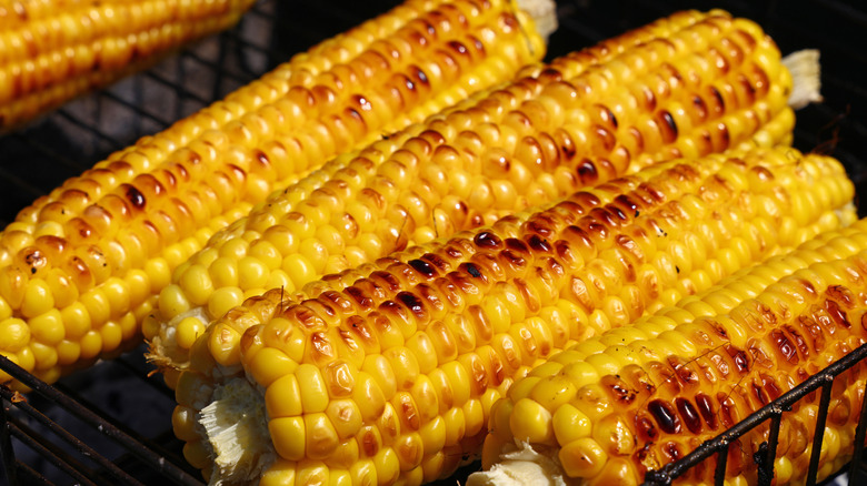 closeup of corn grilling on a grill