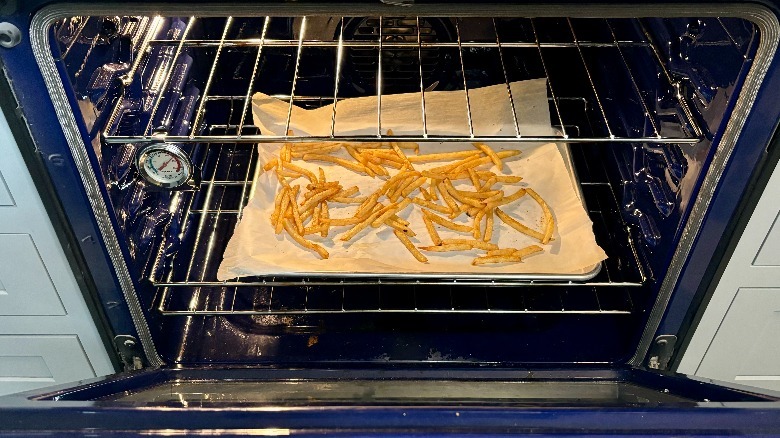 Fries in an oven