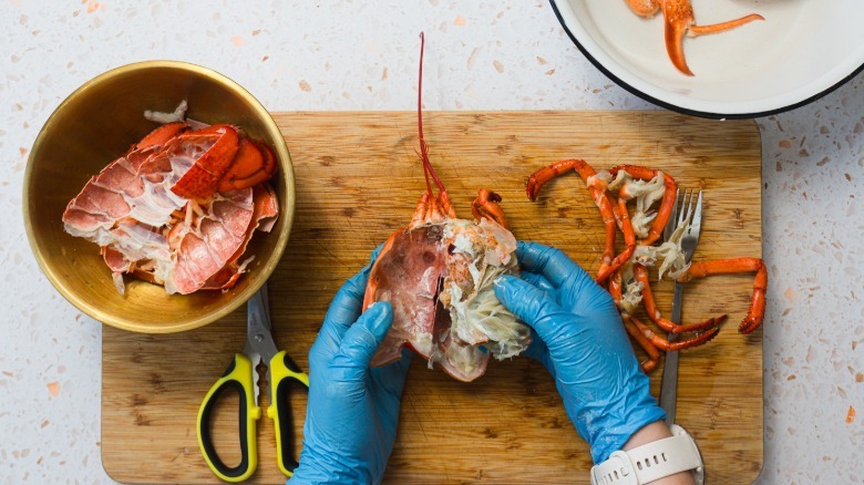 Pulling lobster meat out of the body